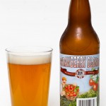 Tin Whistle Strawberry Blonde Ale Review