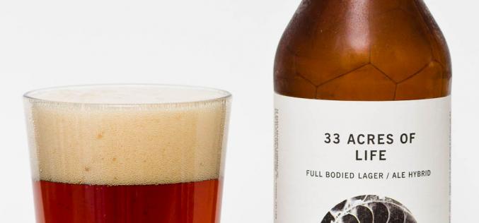 33 Acres Brewing Co. – 33 Acres of Life California Common