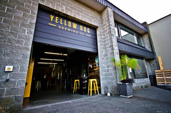 Yellow Dog Brewery