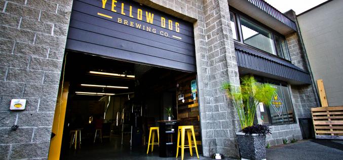Yellow Dog Brewing Company – Bringing Craft Beer to the People of Port Moody
