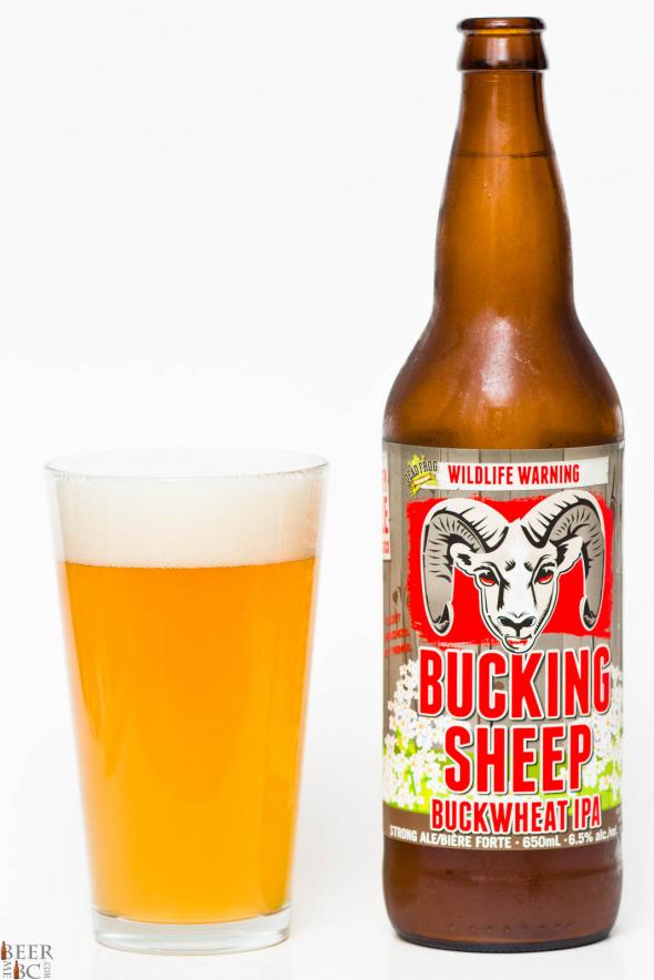 Dead Frog Bucking Sheep White IPA Review