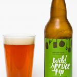 R&B Brewing Wild Spruck Tip Ale Review