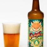 Phillips Brewing Octofox IPA Review
