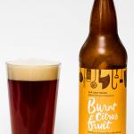 R&B Brewing Chef Series Burnt Citrus Fruit Ale Review 