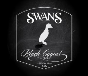 Swans Black Cygnet