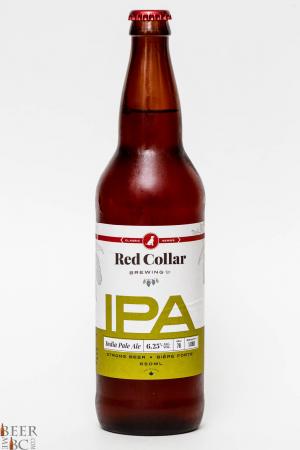 Red Collar Brewing IPA Review