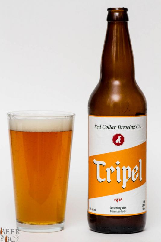 Red Collar Brewing Co. - Tripel Review