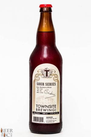Townsite Brewing Sour Blackberry Ale Review