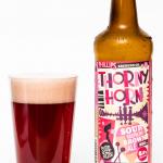 Phillips Brewing Thorny Horn Raspberry Sour Brown Ale Review