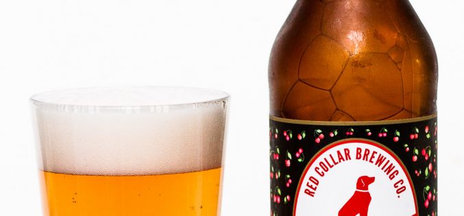 Red Collar Brewing Co. – Cherry Sour Ale