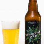Category 12 Brewing Dry Hopped Sour Review