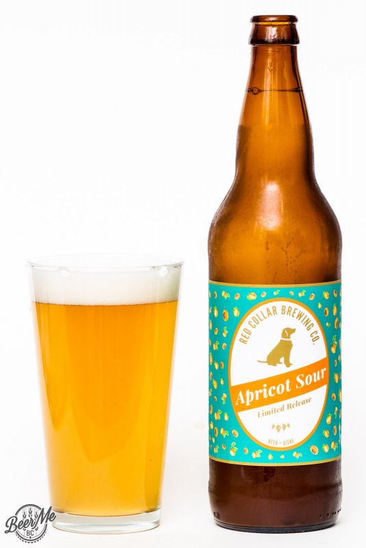 Red Collar Apricot Sour Ale Review