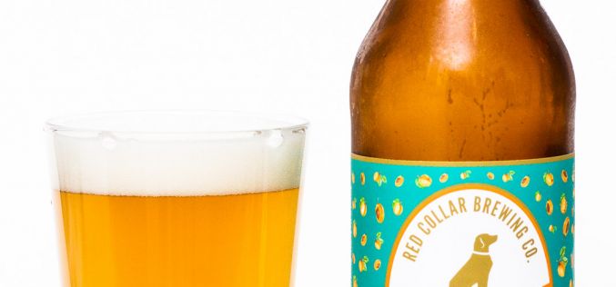 Red Collar Brewing Co. – Apricot Sour Ale