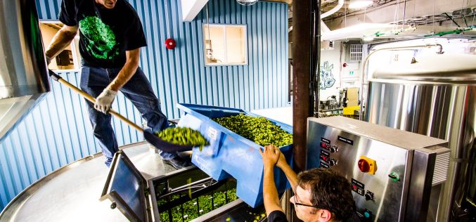 Fresh Hop Season Has Arrived – The Story of Two Craft Beer Icons, Vern & Gary