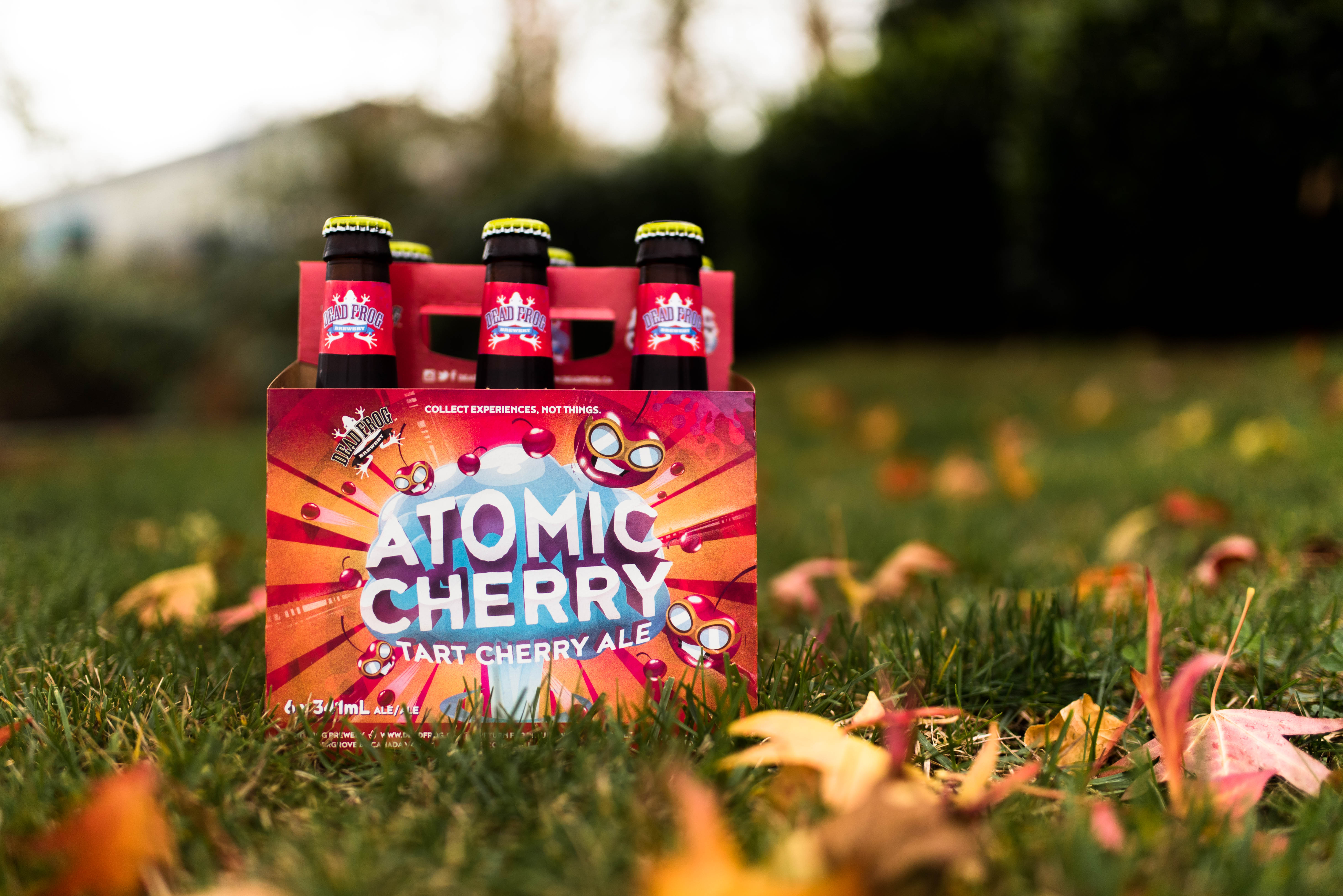 New Atomic Cherry Sour From Dead Frog Brewing | Beer Me British Columbia