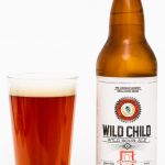 Longwood Brewery Wild Child Sour Ale Review