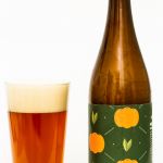 Four WInds Brewing Fortunello Farmhouse Ale Review