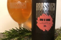 Brassneck Brewery : The Spirit of DIXmas