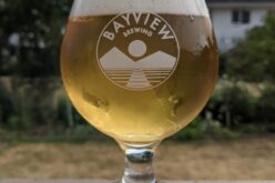 Bayview Brewing Co.- Down By the Bay Watermelon Gose